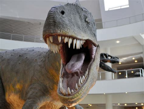 T­ü­r­k­i­y­e­­n­i­n­ ­­J­u­r­a­s­s­i­c­ ­P­a­r­k­­ı­n­a­ ­İ­l­g­i­ ­B­ü­y­ü­k­